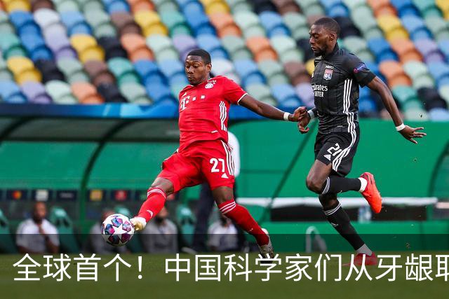 全球首个！中国科学家们从牙龈取细胞，逆转1型糖尿病损伤